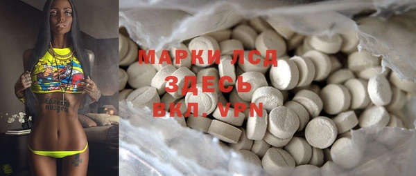 spice Аркадак