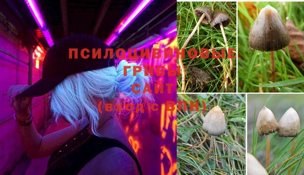 крисы Алексеевка