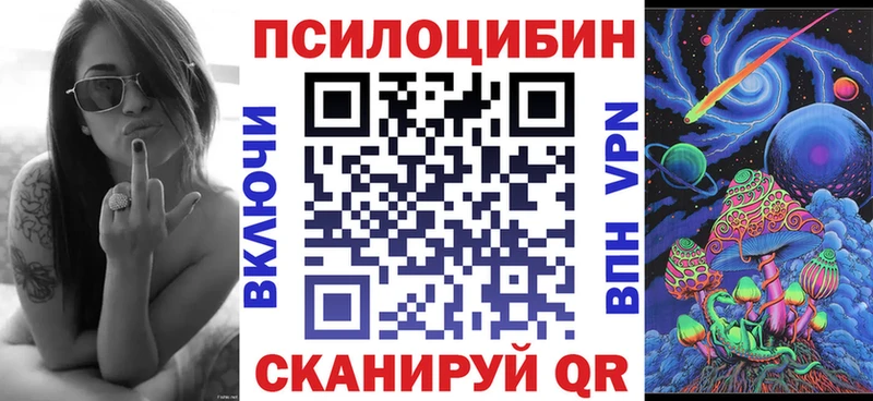 Галлюциногенные грибы Psilocybe  Купить  Снежинск 
